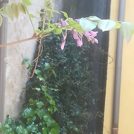 Casa Naike Val Grande *